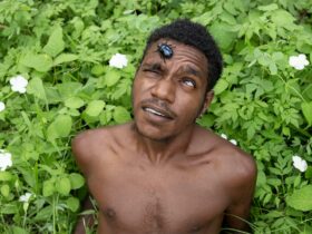 A photographic portrait of a First Nations man siting amongst foliage with a beetle on his forehead.