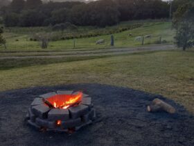 Fire pit for cooking.