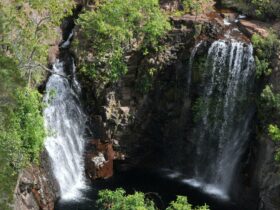 Waterfalls at Florence Falls