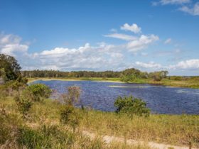 A picture of the lagoon that is located in the Buckley's Hole Conservation Park, Bribie Island.