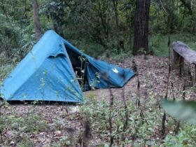 A tent setup in England Creek Bush Camp