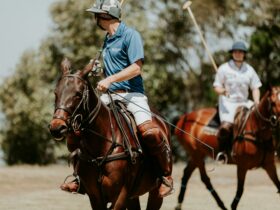 Polo horses and riders