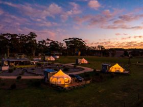 Bukirk Glamping, Clare Valley