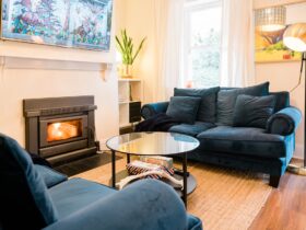 Secret Figtree Cottage - Living room and fire