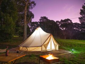 Glamping bell tent at dusk with campfire in front of the tent and trees in background at Woodhouse