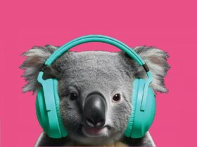 A koala wearing blue headphones on a pink background.